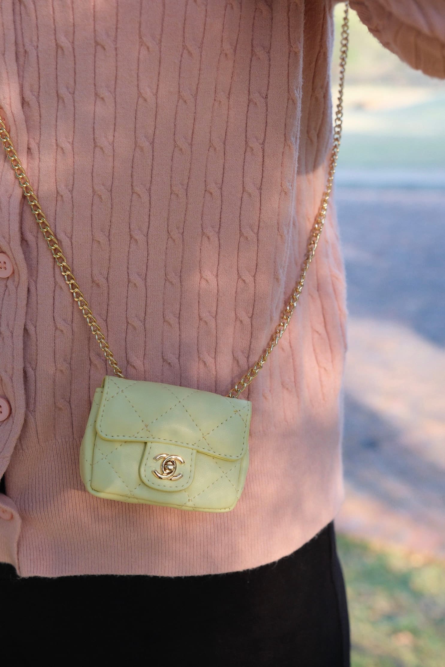 The Mini Chanel Flap