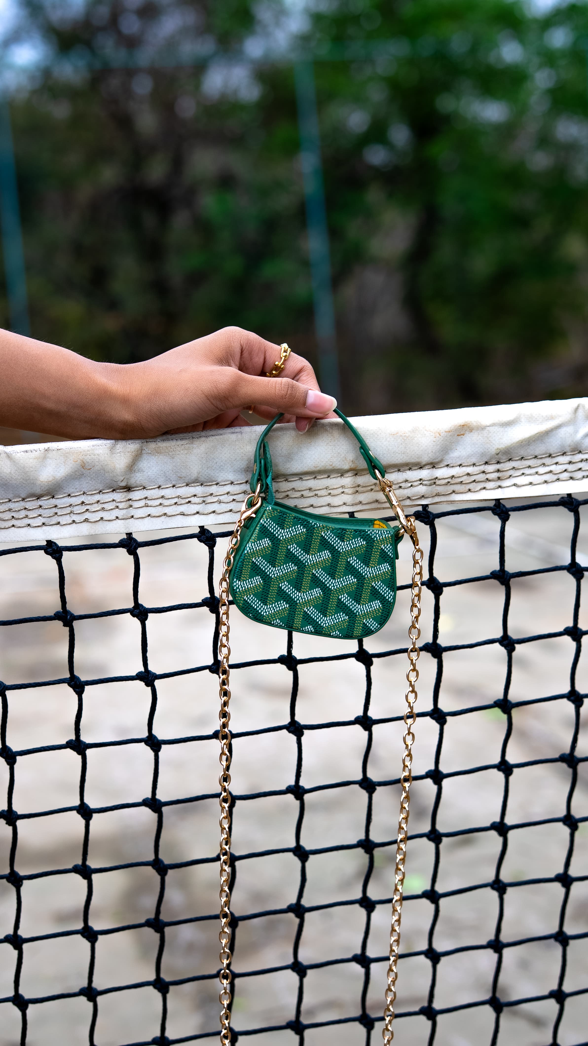 Mini Goyards