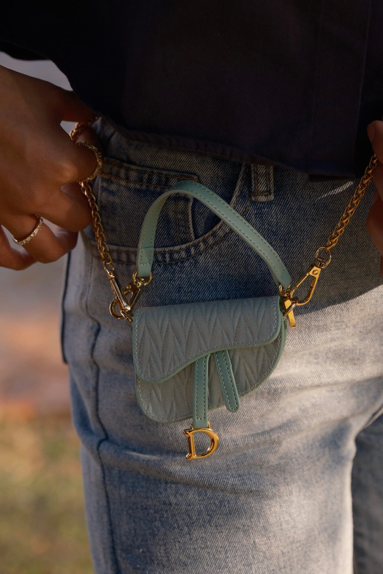 The Mini Dior Saddle