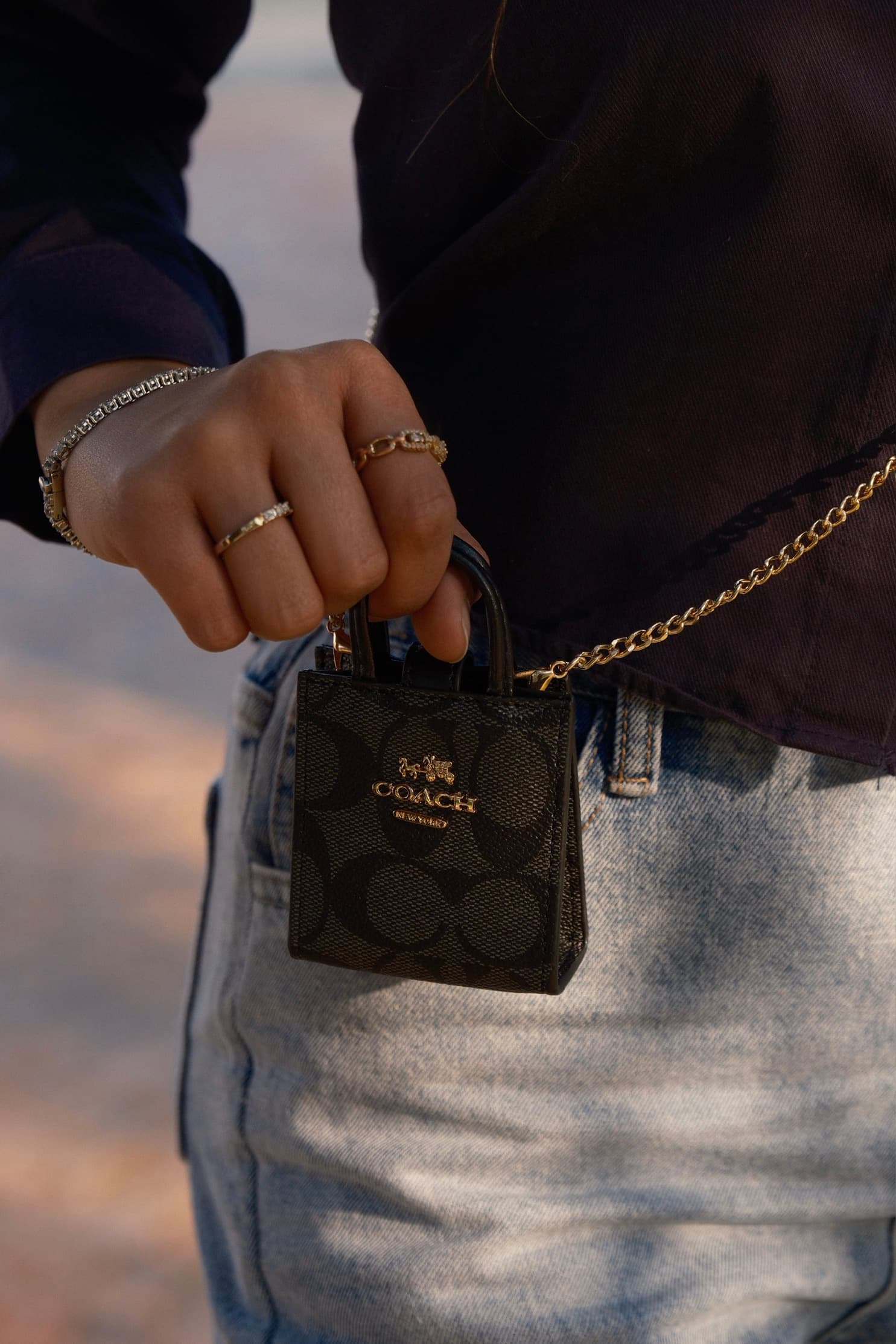 Mini Coach Tote