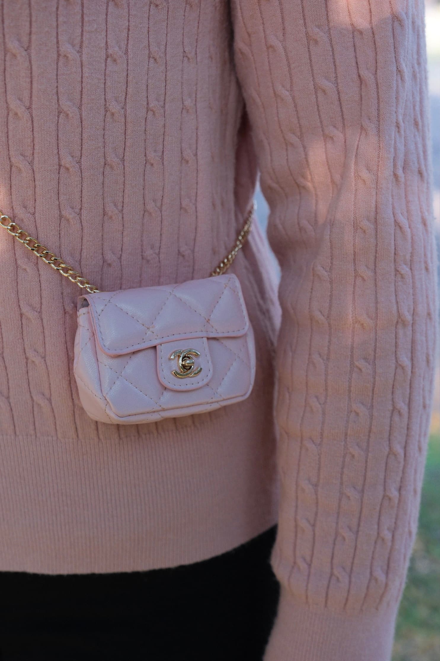 The Mini Chanel Flap