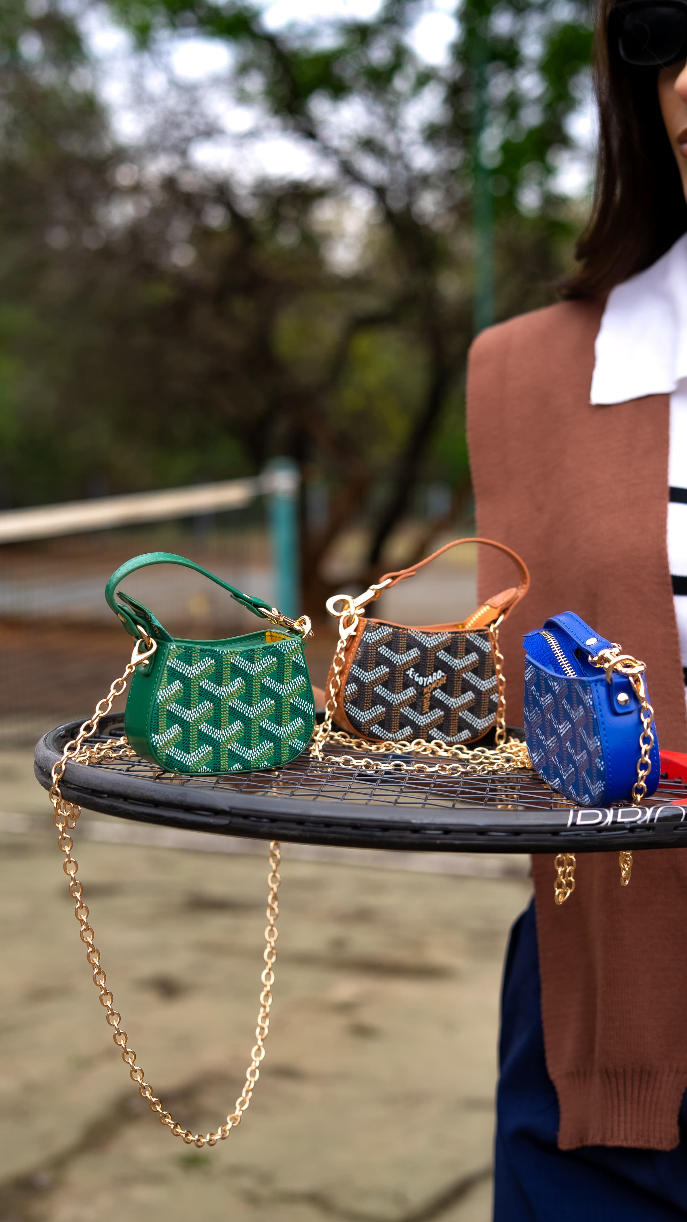 Mini Goyards