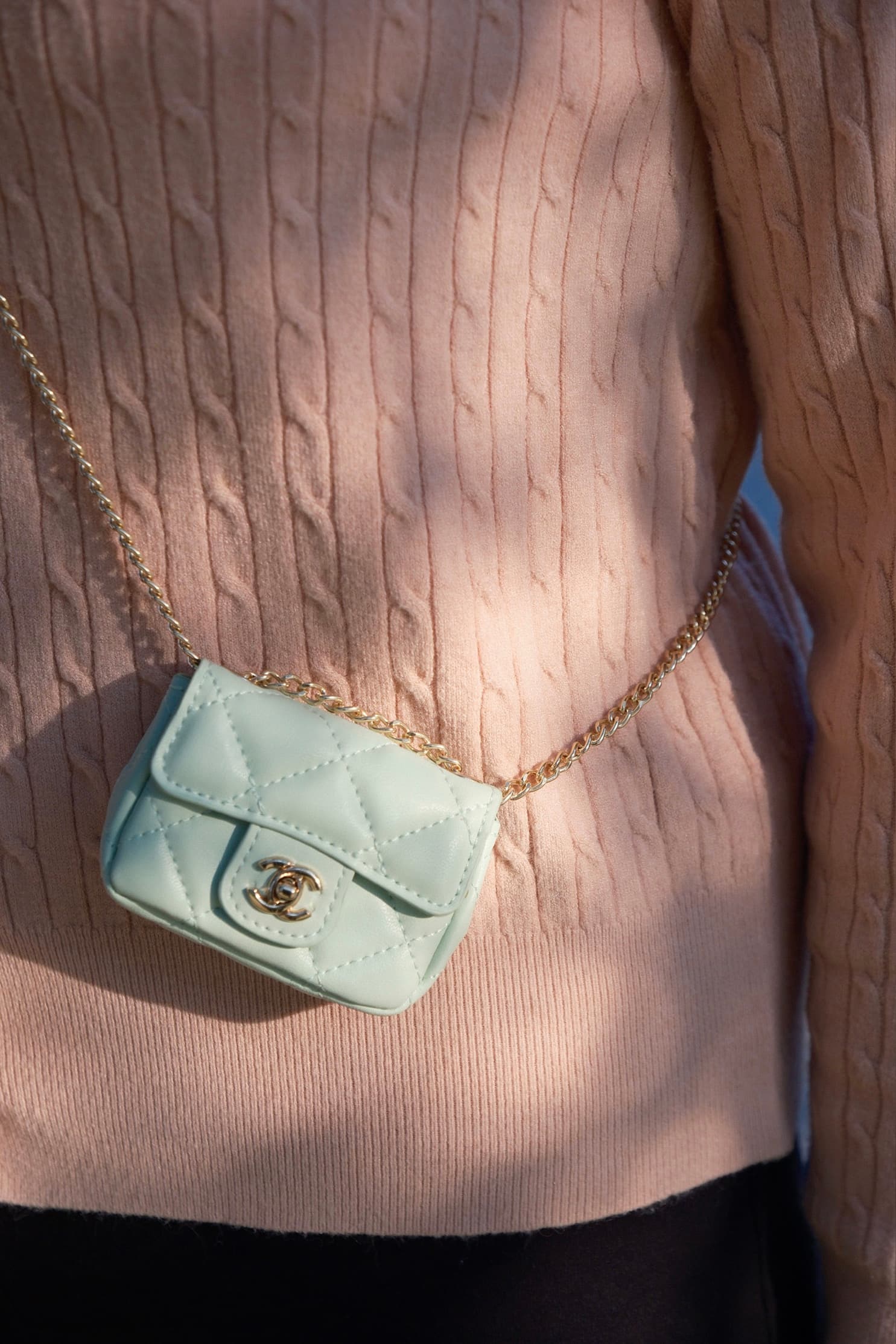 The Mini Chanel Flap