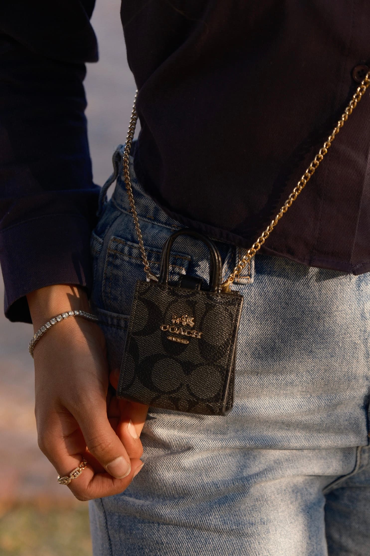 Mini Coach Tote